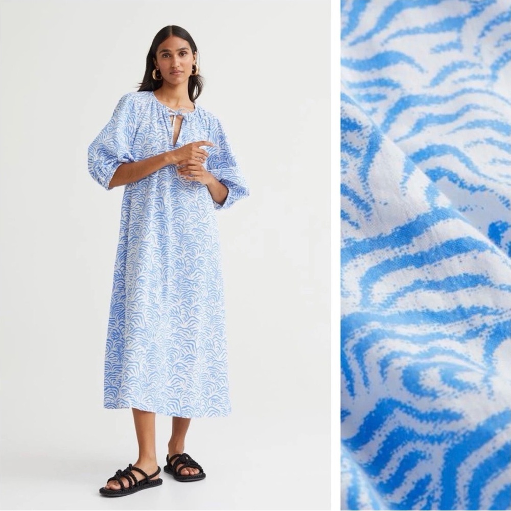 H&M Blue and White Zebra Print Dress